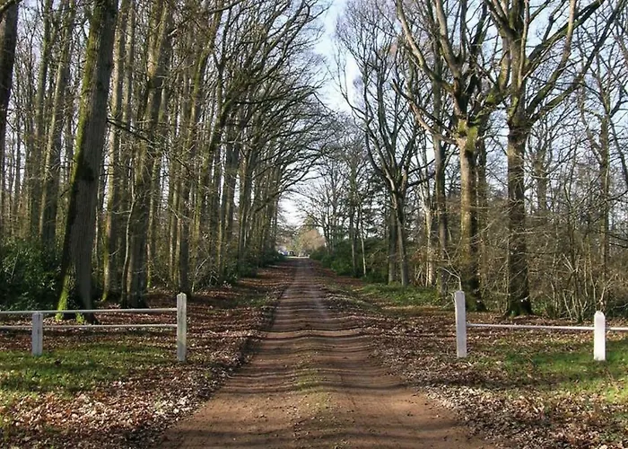 Domaine De La Haute-porte בית נופש Souvigné-sur-Sarthe
